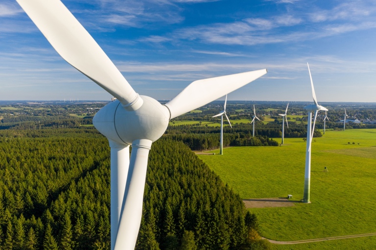 Sweden's Wind Power Blueprint: Competitiveness, Electrification, and Decarbonization